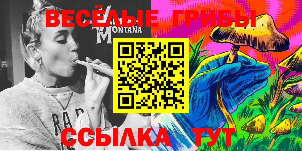 Псилоцибиновые грибы Psilocybe  купить закладку  Черногорск  Вход с VPN 